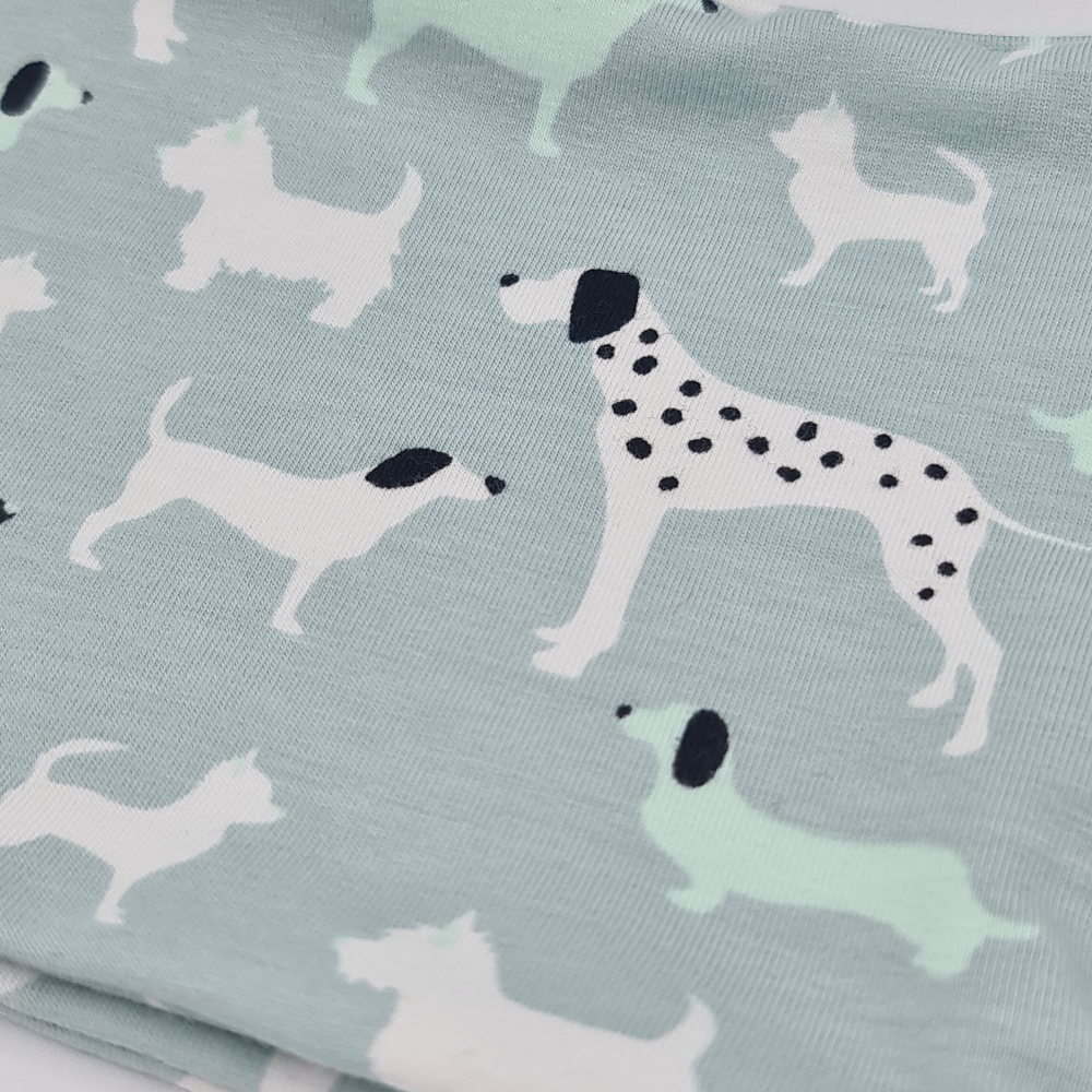 Loop für Hunde in Mint mit Hunden